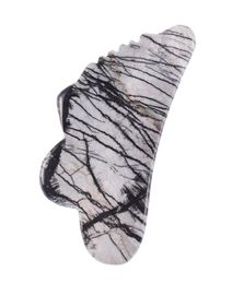 Sawtooth Gua Sha Tool Natural Picasso Jasper Face Care Masseur Stone Jade Quartz Spa Stracing Healthy Beauty Health Body Tool X048331934