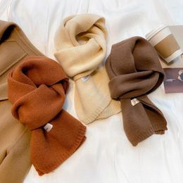 Sjaals kasjmere sjaal vrouwen luxe ontwerpers sjaals Koreaans voor dames bufandas invierno mujer pashminas para