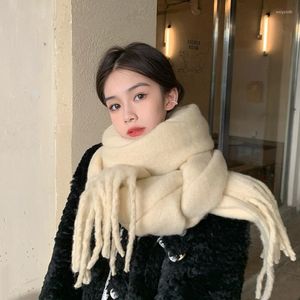 Sjaals chenkio dames winter warme sjaal Koreaanse mode kwastje mohair zachte verdikking imitatie kasjmier sjaal hijab 279k