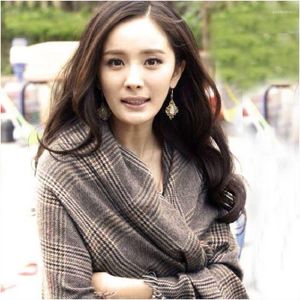 Foulards d'hiver transfrontaliers Style épais cachemire grande écharpe à carreaux à carreaux Yang Mi châle pour femmes approvisionnement direct d'usine