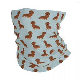 Sjaals Dachshund Dog Bandana Neck Gaiter Gedrukte Animal Balaclavas Face Scarf Multifunctioneel fietsen Running Unisex volwassen