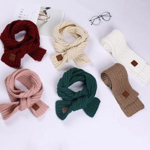 Écharpes mode douce et écharpe tricotée