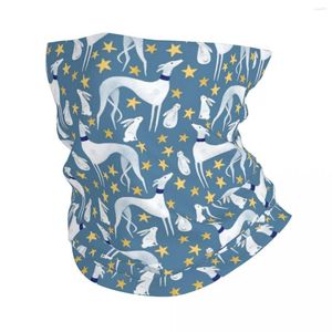 Bufandas Galgo Liebre Y Estrellas Bandana Cuello Polaina Impreso Galgo Whippet Perro Envoltura Bufanda Mascarilla Correr Hombres Mujeres Adultos Toda La Temporada