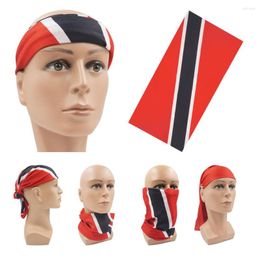 Sjaals Republiek Trinidad en Tobago Vlag Afdrukken Bandana's Volwassenen Outdoor UV-bescherming Gezichtsmasker Halsbeenkap Fietsen Sjaal Snood