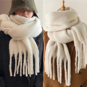 Sjaals Effen Kleur Pluizige Dikke Sjaal Imitatie Kasjmier Zacht Gezellig Kwastje Lang Winter Verdikt Warm Koudbestendig Veelzijdig