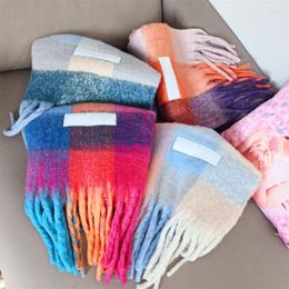 Bufandas Bufanda de invierno Mismo estilo Cuello Decoración 2023 Mohair a cuadros de colores Mantener caliente Pañuelo Cachemira Chales femeninos UNISE