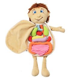 Wetenschapsontdekking Anatomisch interne organen bewustzijn Early Education speelgoed voor voorschoolse menselijk lichaam Model Anatomy schort Doll Soft Doll Toy 230626
