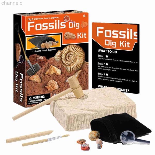 Kit de fouilles archéologiques de découverte scientifique, pierres précieuses et cristaux, jouets éducatifs, Kits de tiges pour les amateurs de minéralogie et de géologie, cadeaux