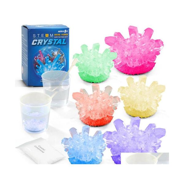 Découverte de la science Crystal Growing Experimental Kit Nouveauté Jouets Facile Bricolage Tige Jouet Laboratoire Expérience Spécimens Cadeau Éducatif Pour Ki Dhmrl