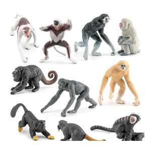 Science Discovery Educational Primates Animal Action Figures Simation Realistic Lifelike Learning Bath Toys For Kids Birthday Part Dhusk