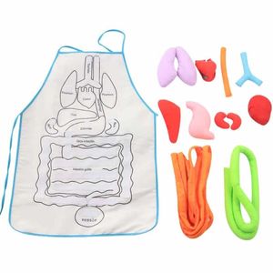 Science Discovery Organ Teaching Apron Anatomy Apron Human Body Educational Insights Home Apron Aids Toys For Children Body Teaching 230227