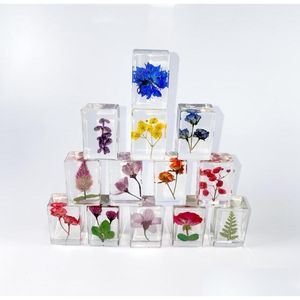 Science Discovery Pisapapeles de flores prensadas Science Disery Flores reales Colección de muestras Muestras en resina Pesos de papel Cubo para Dhw43