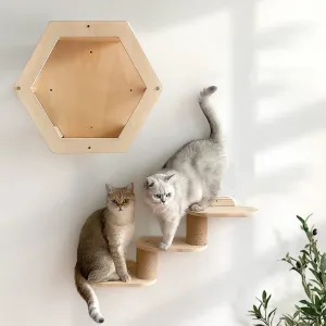 Rascadores 1 hamaca de pared para árbol de gato en forma de luna con escalera de madera para escalar y dormir escalera pequeña de tres pisos muebles de interior para mascotas