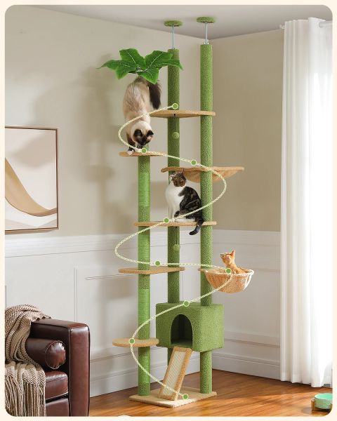 Arbre à chat Cactus réglable en hauteur de 230 à 252cm, avec poteau à gratter, tour à plusieurs niveaux, accessoires pour chats, jouets pour chats gatos