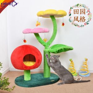 Scratchers Cat Cat Cadre quatrelayer Cat Stand Litter Tree