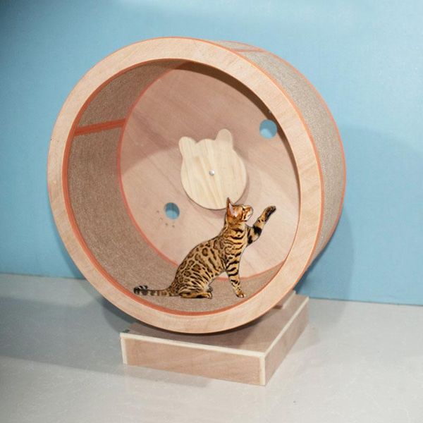 Griffoirs Cadre d'escalade pour Chat Tapis de Course à gratter en Bois Massif Roue à gratter pour Chats Jouets de Sport Arbre à Chat avec Roue d'escalade