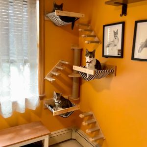 Étagère d'escalade pour chat, arbre à chat mural, escalier à quatre marches, poteau à gratter en bois d'intérieur pour chat, meubles d'escalade muraux, hamac pour chat