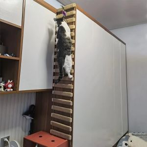 Cadre d'escalade d'échelle de corde de chat de grattoirs, grattoir extérieur, pont d'escalade de mur de poteau, échelle de corde de sisal pour des meubles d'animaux de compagnie