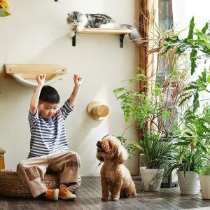 Griffoirs Mur d'arbre à chat Étagères d'escalade en bois Poste à gratter avec plate-forme de saut et échelle de marche Meubles d'intérieur pour animaux de compagnie pour chaton