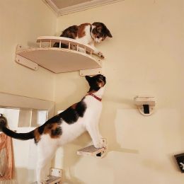 Hamac d'angle pour chat, meubles muraux à gratter, avec marches, étagères et perchoirs pour chats d'intérieur, planches de marche pour chaton
