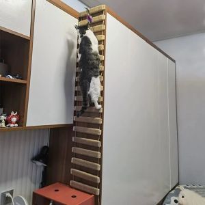 Rascadores de pared para gatos y gatitos, puente de Sisal, escalador de actividades, juguetes, muebles de madera, escalera, poste de cuerda