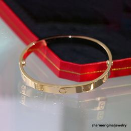 Schroefarmband Designer Bracelet Designer Sieraden Mens Sieraden Designer Love Bangle For Woman Mens Designer armbanden Roestvrij staal Gold Bangle Vriendschap