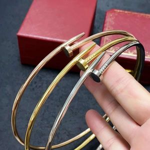 Colliers de tour de cou à vis en carter collier collier en acier inoxydable