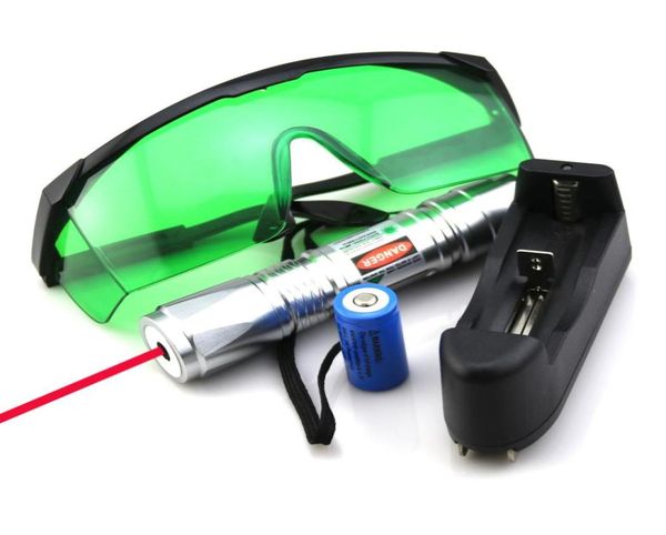 SDLasers RS60200 argent mise au point réglable 650nm pointeur Laser rouge avec 118650 Li chargeur de batterie lunettes drôle Pet stick8818436