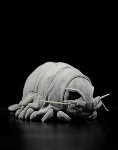 Zeewezen Giant Isopod Realistisch knuffeldier Zacht Bathynomus Giganteus Crustaceeën knuffel 30 cm lang Q07273155867