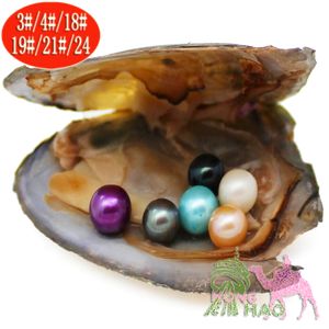 Envío Gratis, regalos de joyería de perlas de concha marina, ostras de cultivo de agua dulce, envasado al vacío Individual, 6-7mm, redondo, 4A, venta al por mayor