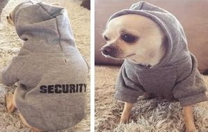 Vêtements de chien de sécurité Classic Pet Dog Hoodies Vêtements pour petit chien Veste de manteau d'automne d'hiver pour Yorkie Chihuahua Clothing 4893207