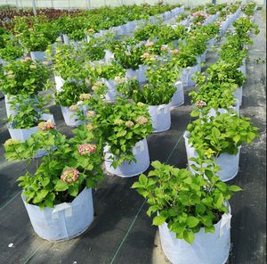 Bolsas de cultivo de plántulas Bolsa de plantas Macetas de vivero de fibra Suministros de jardín Bolsas de plantación no tejidas Tela