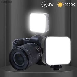 Selfie Lights Mini 49 LEDS VIDEOGE LUMIÈRE ON CAMERA 3W 800LM 6000K FILL LUMIÈRE POUR DSLR MINI NIGHT Photographic Rempling éclairage pour Nikon DJIL240116