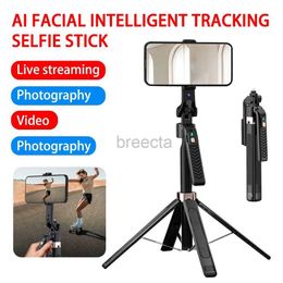 Selfie Monopodes Anti-shake Live Stand Trépied rotatif à 360 degrés AI Tête de reconnaissance faciale intelligente Suivi automatique Bâton stabilisateur 24329