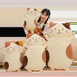Verkopen van 1 meter gigantische schattige Biscuit Cat Plush speelgoedkussen voor huizendecoratie kinderen verjaardagscadeau comfortabel slaap anime pop 240426
