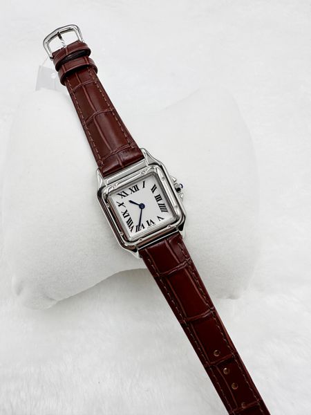 Wristband de concepteur senior montre une montre à ceinture de haute qualité de haute qualité 22 mm27 mm