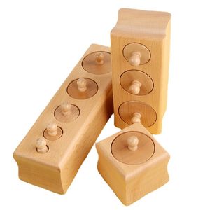 Sensorisch materiaal houten cilinderblokken speelgoed kleuterschool vroege educatieve voor visuele sense children game