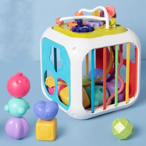 Sensory Montessori Toys éducatifs pour enfants enfants 1 2 3 ans Boîte de trieuse Blocs d'empilage Activité Cube Toy Baby Toys