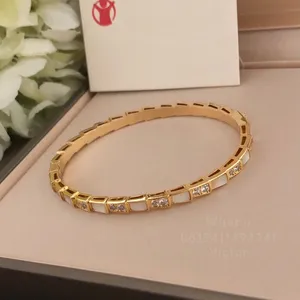Bracelet unique de créateur à échelle serpentine pour femme, diamant plaqué or 18 carats 5A, réplique officielle, cadeau de créateur de marque de luxe le plus élevé pour petite amie 016