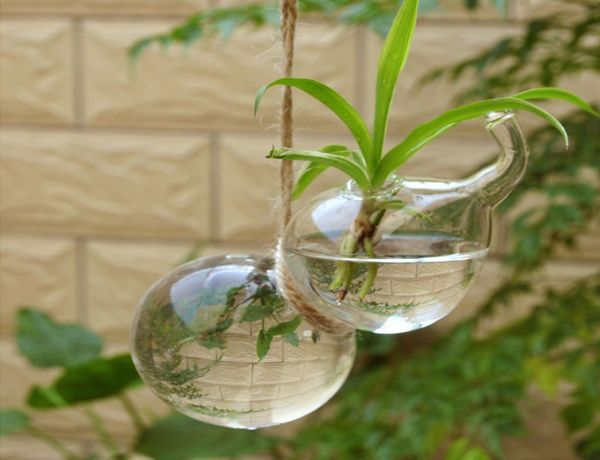 Ensemble de 2 gourdes suspendues en verre en verre de vase de fleurs de plante de fleur de plante de pot de pot de pot de terrain pour le café décoration de la maison7017164