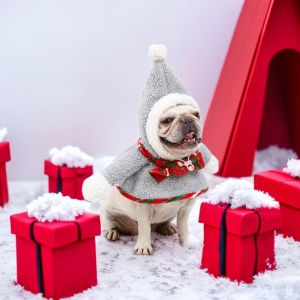 Sets Cat and Dog Christmas Costuums Nieuwjaar Pet Supplies Warm Puppy Christmas Hairball Snowman Transformer kostuum