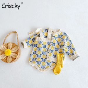Sets Criscky Baby Girl Clothing sets princess nouveau-né vêtements bodys + pull vestiilles enfants