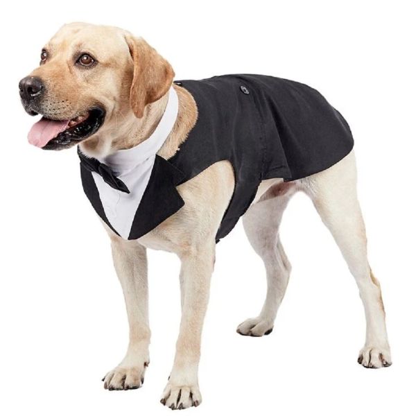 Ensembles de mariage formel pour chien, chemise noire, manteaux pour chiens de taille moyenne et grande, costume de mode pour fête, Cosplay Golden Retriever Bulldog Samoyède