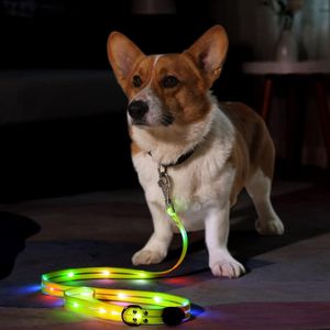 Conjuntos de luces de correa para perros iluminadas para caminar de noche, correa de perro Led impermeable recargable por USB, correas iluminadas para seguridad nocturna de mascotas