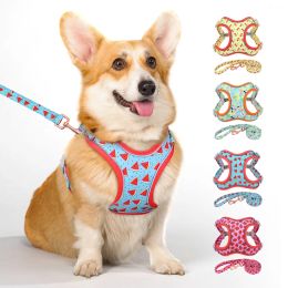 Ensembles harnais et laisse pour chien en nylon maille ensemble harnais de gilet réfléchissant pour chiens avec corde de ceinture de plomb pour petits chiens de taille moyenne carlin