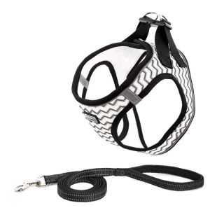 Sets Wit Hondentuig en riem Set Extra klein Geen trek Reflecterend Ademend Puppytuig Hond Nylon Zwaar uitgevoerd 1,4 m lijn Nylon