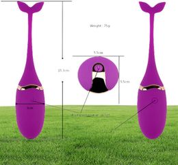 Seks dolfijn Vibrerend ei -afstandsbediening Vibrators Sex Massager Love Egg voor vrouwen oefenen vaginale massage kegel ball g spot USB 6638862