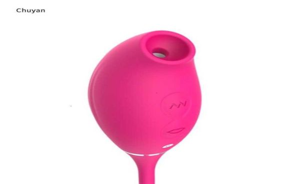 Sex Toy masseur Rose vibrateur jouets rechargeables pour femme lit vagin Didol2997596