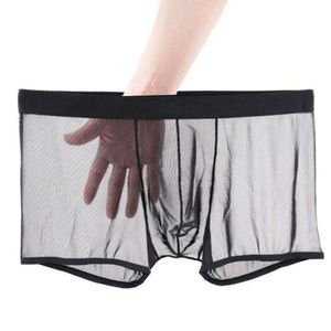 Sous-vêtements Sexy en dentelle pour hommes, maille fine, respirante, sans couture, culotte transparente en soie glacée, boxer taille moyenne, été