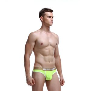 Sexy hommes sous-vêtements coton slips mâle Cueca Gay pénis culotte mince respirant taille basse Bikini confortable culotte Men Briefs Underwear